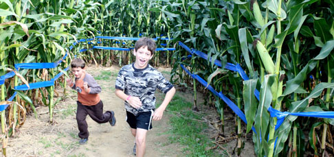 Giant Maize Quest® Corn Maze - Springdale, AR