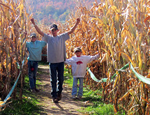 Giant Corn Maze