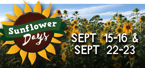 Sunflower Jubilee Weekends - Springdale, Arkansas
