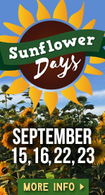 Sunflower Weekends - Springdale, AR